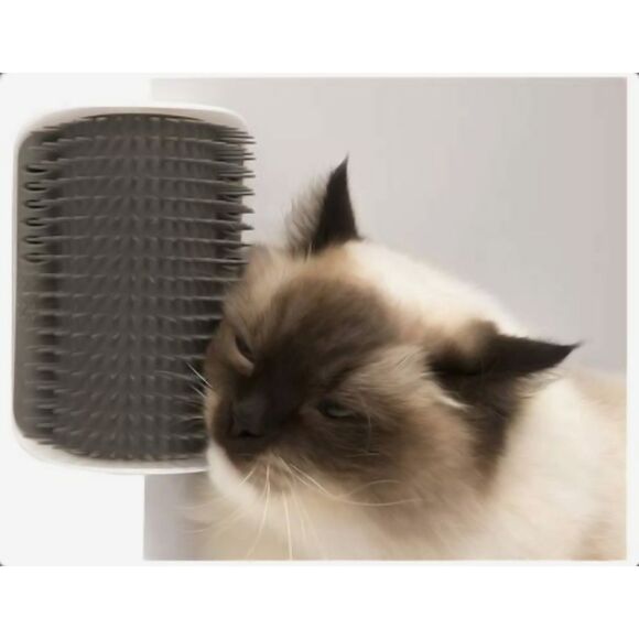 Catit Senses 2.0 Viral TikTok Wall Mounted Self-Groomer with Catnip for Cats - Picture 3 of 5